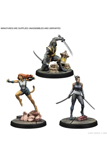Marvel: Crisis Protocol - Echo, Ronin & Tigra - Character Pack Atomic Mass Games