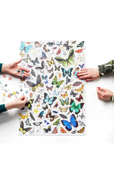 Puzzle Puzzlove CzuCzu 1000 el. Motyle Bright Junior Media