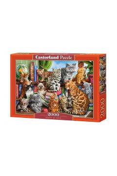 Puzzle 2000 el. House of Cats Castorland