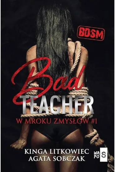 Bad Teacher. W mroku zmys��w. Tom 1 - Kinga Litkowiec, Agata Sobczak