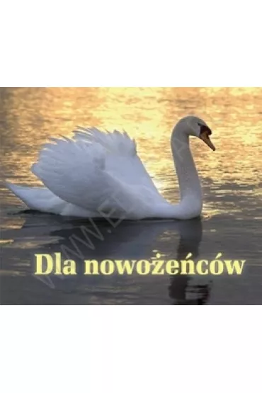 Dla nowo�e�c�w. Pere�ka 198