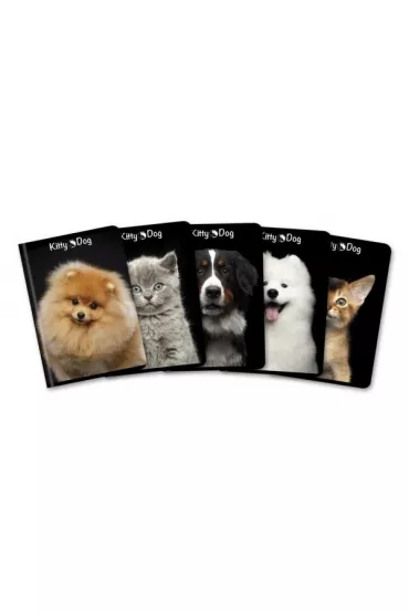 Top-2000 Zeszyt A5 Kitty&Dog kratka 96 kartek 5 szt.