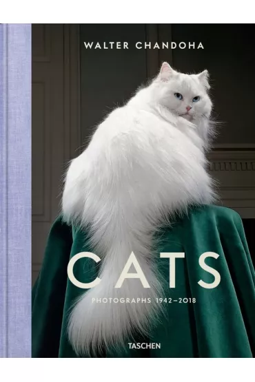 Walter Chandoha. Cats. Photographs 1942&ndash;2018 wer. angielska - Walter  Chandoha