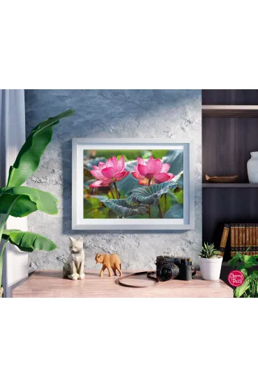 Puzzle 500 el. Pink Lotus Flowers CherryPazzi