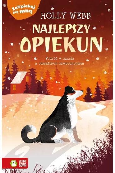 Najlepszy opiekun. Zaopiekuj si� mn� - Holly Webb