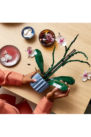 LEGO Botanicals Orchidea 10311