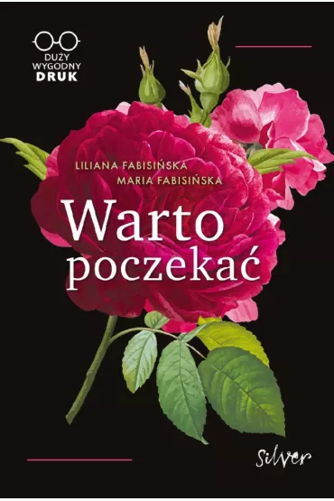 Warto poczeka�. Du�e Litery - Liliana Fabisi�ska, Maria  Fabisi�ska