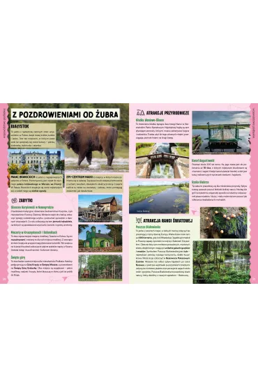 Polska. Przewodnik ma�ego podr�nika - Krzysztof H. Olszy�ski