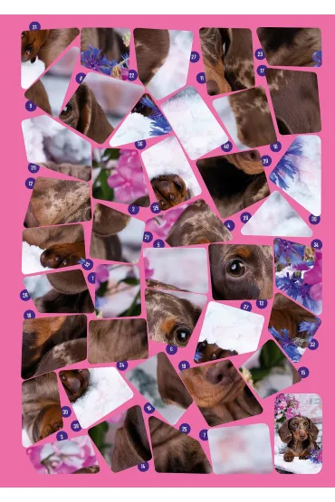 Naklejkowe puzzle. Zabawne pieski