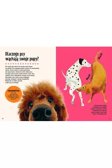 Britannica. Wielka ksi�ga pyta� dlaczego - Sally Symes