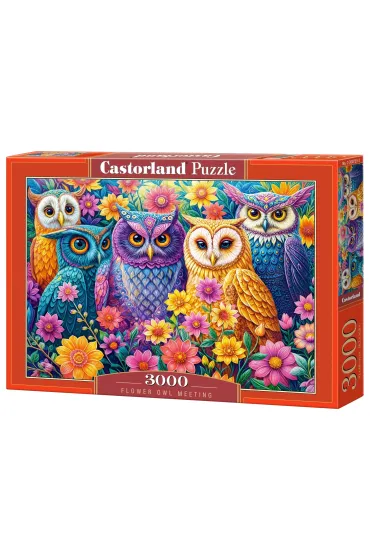 Puzzle 3000 el. Flower Owl Meeting Castorland