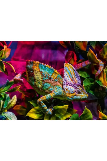 Puzzle 500 el. Kameleon Ravensburger