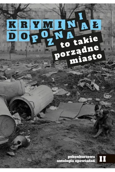 Krymina� do Poznania. To takie porz�dne miasto - Aleksandra Paradowska, Piotr Korduba