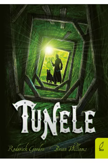 Tunele. Tom 1 - Brian Williams, Roderick Gordon