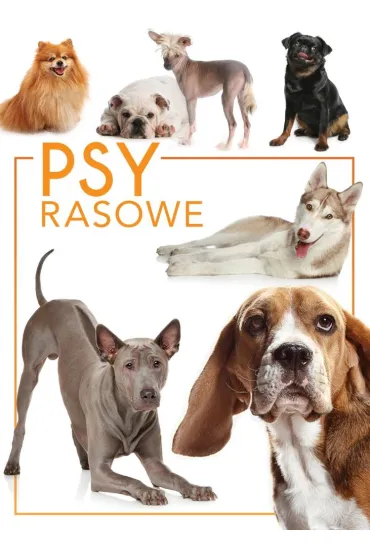 Psy rasowe - Izabela Przeczek