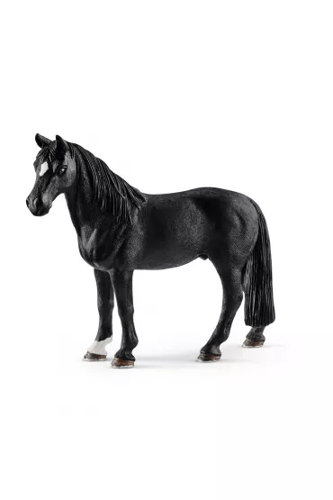 Wa�ach rasy Tennessee Walker