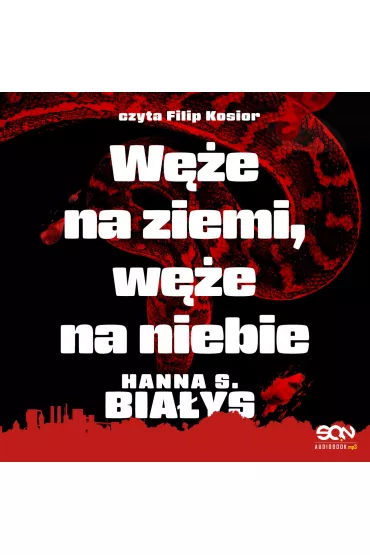 Audiobook We na ziemi, we na niebie mp3 - Hanna Szczukowska-Biays