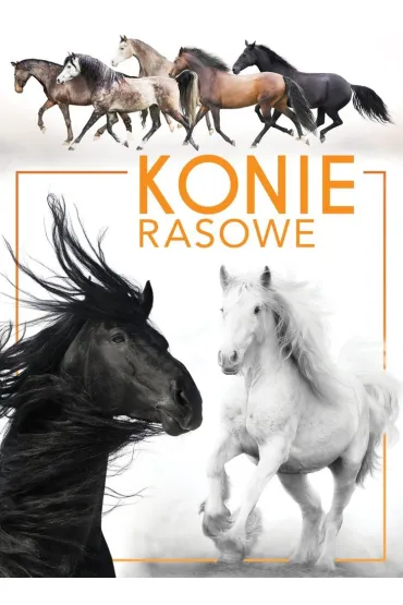 Konie rasowe - Patrycja Zarawska