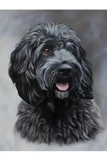 Norimpex Diamentowa mozaika - Pies czarny Cockapoo 40x30cm