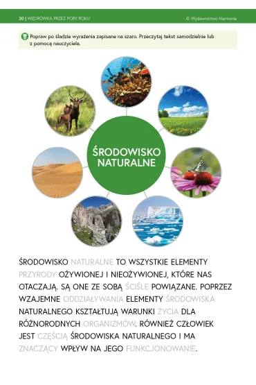 W�dr�wka przez pory roku Wiosna - Joanna Hry�, Krystyna  Rapiej