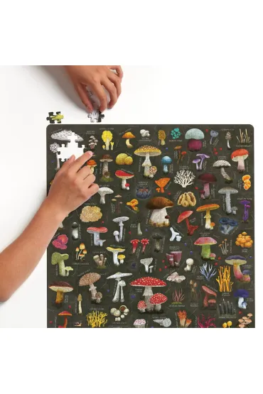 Puzzlove CzuCzu 500 el. Grzyby puzzle rodzinne Bright Junior Media