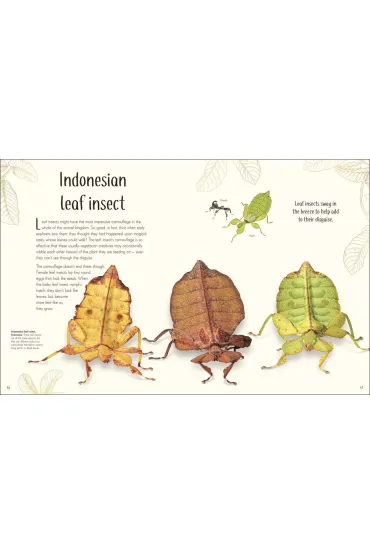 Anthology of Remarkable Bugs - Jess French