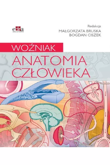 Anatomia cz�owieka. Wo�niak