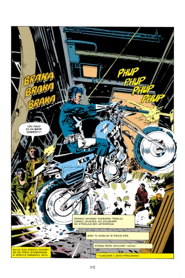 Najwy�szy wymiar kary. Punisher Epic Collection - Dan Abnett, Dixon Chuck, John Wagner, Andy Lanning, Mike  Baron, Roger Salick, D G Chichester, Mike  Lackey
