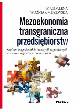 eBook Mezoekonomia transgraniczna przedsibiorstw. Studium bezporednich inwestycji zagranicznych w rozwoju regionw ekonomicznych pdf