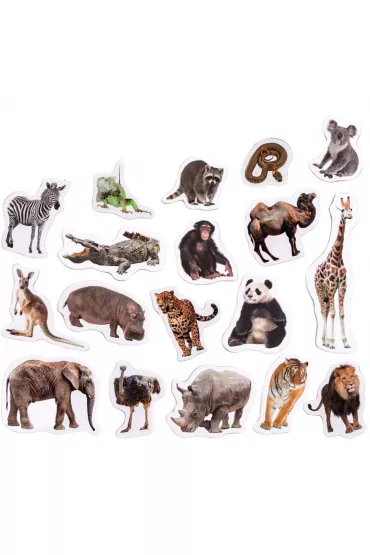 Maksik Zwierz�ta w zoo - zestaw magnes�w