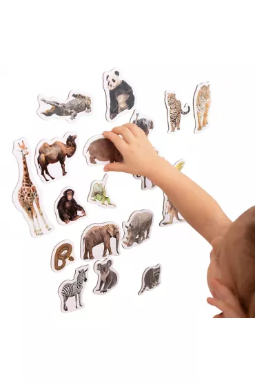 Maksik Zwierz�ta w zoo - zestaw magnes�w