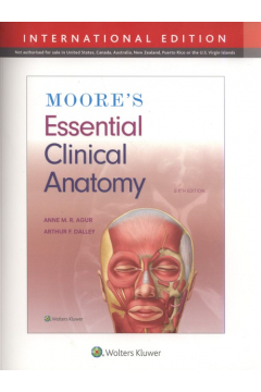 Moore`s Essential Clinical Anatomy. International Edition