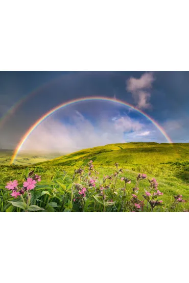 Puzzle 1500 el. T�cza Ravensburger