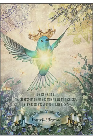 Hummingbird Wisdom Oracle Cards - Ellen  Valladares