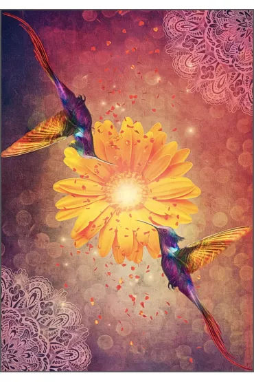 Hummingbird Wisdom Oracle Cards - Ellen  Valladares