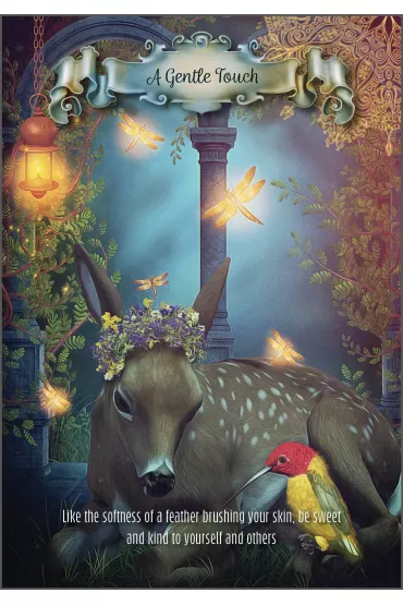 Hummingbird Wisdom Oracle Cards - Ellen  Valladares