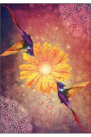 Hummingbird Wisdom Oracle Cards - Ellen  Valladares
