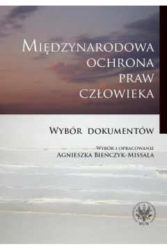 eBook Midzynarodowa ochrona praw czowieka pdf