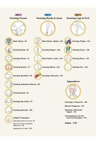 How To Create Manga Drawing Human Body wer. angielska - Matsu