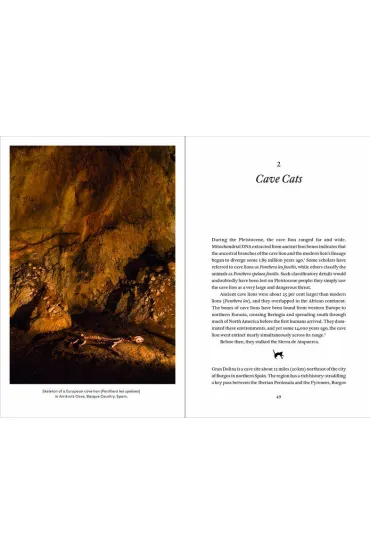 Cat Tales - Jerry D Moore