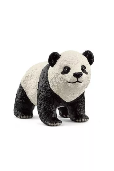 M�oda Panda Wielka