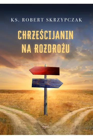 Chrze�cijanin na rozdro�u - Robert Skrzypczak
