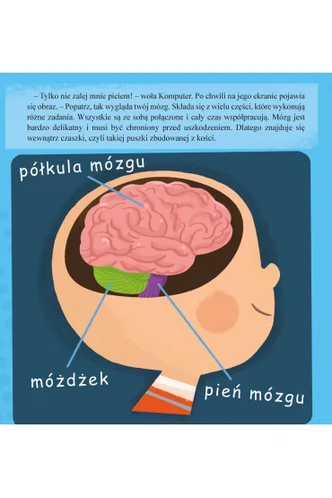 Mzg - Wojciech Grajkowski