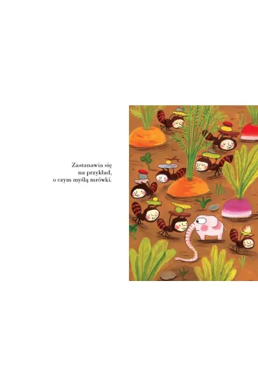 Pomelo si� zastanawia - Ramona B�descu