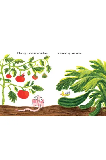 Pomelo si� zastanawia - Ramona B�descu