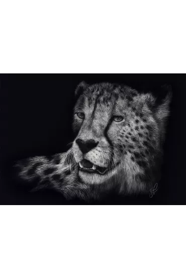 Puzzle 1000 el. PQ Ashley Rader Gepard Schmidt - Ashley  Rader