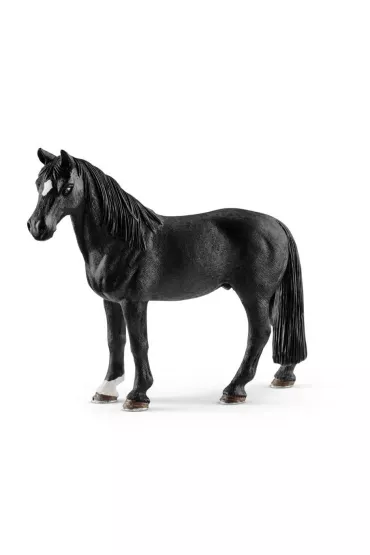 Wa�ach rasy Tennessee Walker