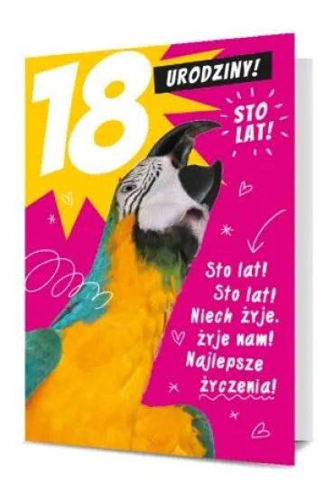 Pan Dragon Karnet B6 18-te urodziny papuga