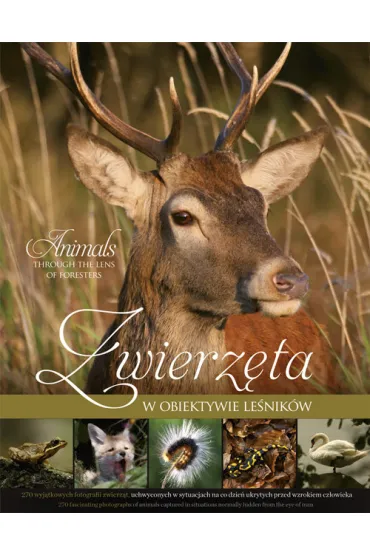 Zwierz�ta w obiektywie le�nik�w