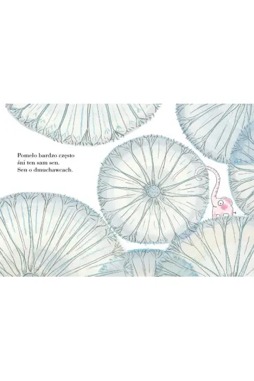 Pomelo �ni - Benjamin Chaud, Ramona B�descu